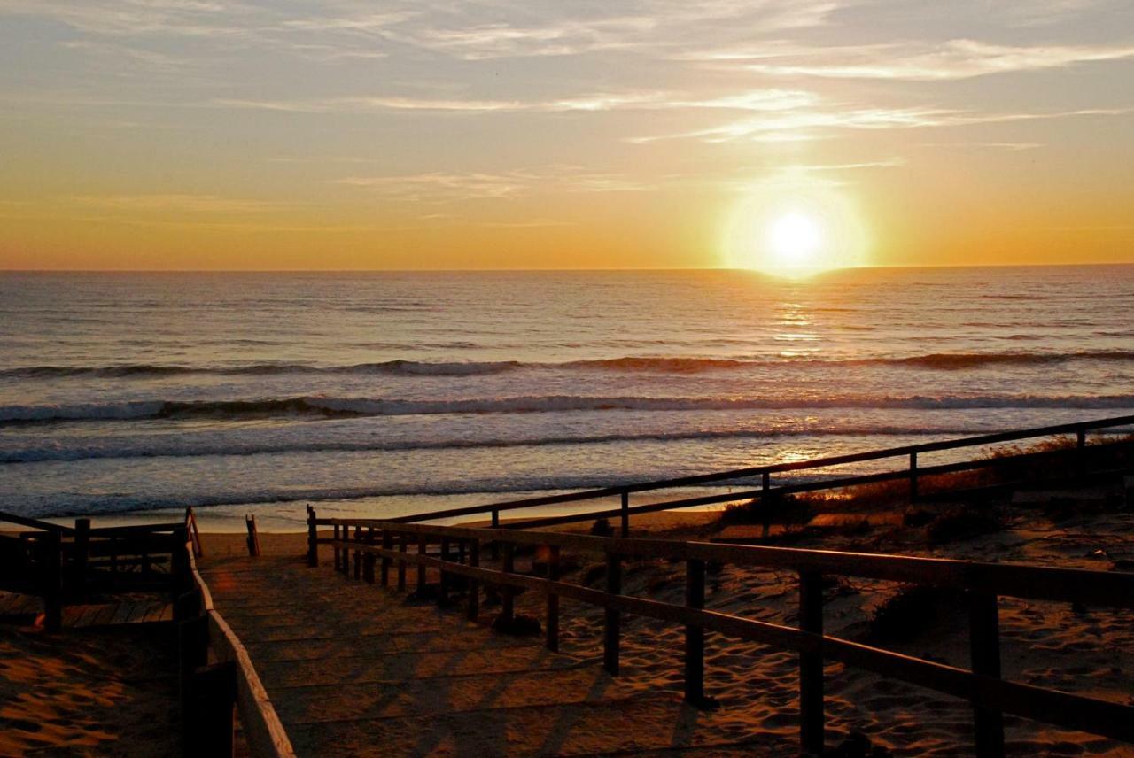 Les Dunes De Contis- Landes Saint-Julien-en-Born Dış mekan fotoğraf